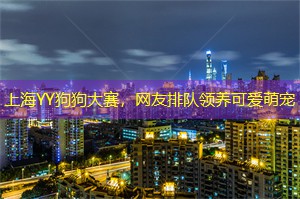 上海YY狗狗大赛，网友排队领养可爱萌宠